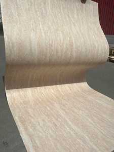 Trắng gợn ban tường Bảng điều khiển linh hoạt Freeze-Tan Băng kháng ngói tấm thực tế đá hiệu ứng thiết kế hiện đại trong nhà thân thiện với môi - Product Image 4