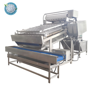 Lobster Grader Small Shrimp Peeling Machine Shrimp Grading Machine - Product Image 5