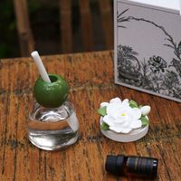 Gardenia Reed Diffuseurs Fragrance air Fresh Reed Diffuseur Bouteille en verre Encens Stone Ornaments Bulk Buy