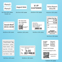 Detonger P2 Imprimante d'étiquettes thermiques sans encre Système Android iOS BT Autocollant Code-barres QR Code Imprimante d'étiquettes