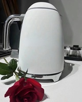 Usine nouvelle conception bouilloire à thé en acier inoxydable Portable chauffe-eau cruche bouilloires électriques pour café thé