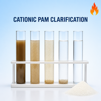 Floculant cationique polyacrylamide (CPAM) pour les eaux usées de traitement des minerais