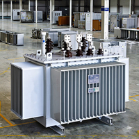 Transformateur de puissance toroïdal immergé dans l'huile, petite capacité, triphasé, S11, 160 kVA, 11 kV, 415 V, abaisseur de tension