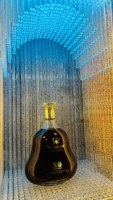 Armoire à vin électrique domestique et commerciale en acier inoxydable Présentoir réfrigéré à température constante pour hôtel