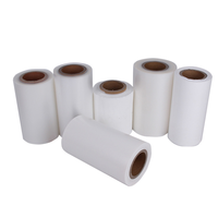 Rouleau de feuille de plastique en polystyrène PS blanc givré pour thermoformage