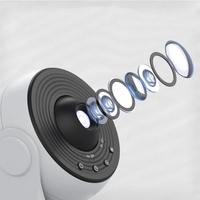 Projecteur de planétarium 3D télécommandé 13 en 1 haut-parleur Bluetooth projecteur étoile galaxie veilleuse LED pour chambre à coucher