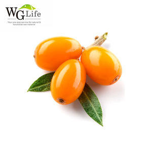 عصير توت البحر العضوي المركز، مستخلص فاكهة غني بالأحماض الأمينية والفلافونات والفيتامينات، معبأ بتفريغ الهواء في براميل - Product Image 4