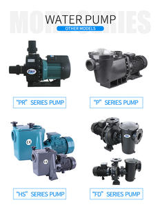 Bomba de Agua de Alta Presión y Velocidad Variable Pikes 220V 380V 50Hz 1.5hp-3hp con Autocirculación para Piscina - Product Image 5