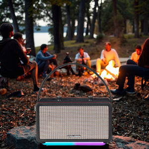 Portable pas cher petit <span class=keywords><strong>marshall</strong></span> étanche boîte à musique karaoké zélote <span class=keywords><strong>Mini</strong></span> LED haut-parleur de fête sans fil avec microphone - Product Image 2