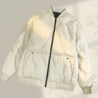 Veste d'hiver à col baseball, couleur unie, fermeture éclair, résistante au froid et chaude, veste en duvet décontractée pour homme, grande taille