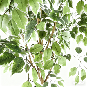 Pianta Artificiale di Ficus 5ft 6ft 7ft 150cm 180cm 210cm Albero Finto Plantas Artificiales Decorazioni in Plastica per Interni ed Esterni per la Casa - Product Image 4