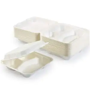 Factory Direct 1000ml 8" 3 Compartment Lunch Box Bagasse Compostable Biodegradable Disposable Food Container Paper