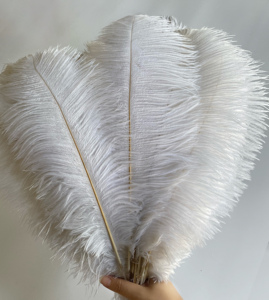 Chất Lượng Tuyệt Vời Trang Trí Đám Cưới Lớn Plumas Đà Điểu Lông Trắng Đà Điểu Lông Lớn Lông - Product Image 1