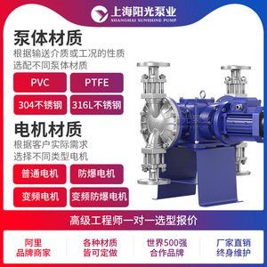 Pompe doseuse à membrane Shanghai Sunshine Pump Industry DJ-D2 en acier inoxydable 316L, électrique, haut débit 1300 L/H, hauteur de refoulement 8 M - Product Image 4