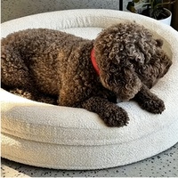 Coussin orthopédique rond pour chien en mousse à mémoire de forme, style boucle, luxueux, populaire, avec housse amovible et lavable, antidérapant, en forme de donut, vente en gros