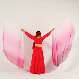 Bandera <span class=keywords><strong>de</strong></span> adoración profética <span class=keywords><strong>de</strong></span> la Iglesia Banderas <span class=keywords><strong>de</strong></span> baile <span class=keywords><strong>de</strong></span> alabanza Banderas <span class=keywords><strong>de</strong></span> alabanza <span class=keywords><strong>de</strong></span> adoración <span class=keywords><strong>de</strong></span> escenario Ropa <span class=keywords><strong>de</strong></span> velo <span class=keywords><strong>de</strong></span> actuación - Product Image 5