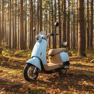 Scooter Eléctrico de 800W, Nuevo, de Alta Velocidad, para Ciudad, con Marco de Acero y Batería de Plomo-Ácido para Adultos - Product Image 6
