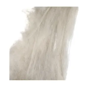 Manufacturers Wool High Quality Supple And Soft White 100% Carded Sheep Wool