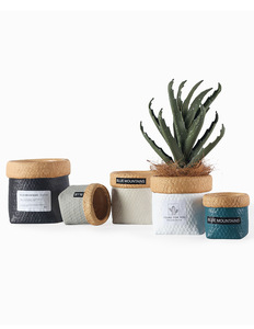 Suministros <span class=keywords><strong>de</strong></span> jardín productos al por mayor maceta <span class=keywords><strong>de</strong></span> flores <span class=keywords><strong>para</strong></span> interiores y exteriores bolsa <span class=keywords><strong>de</strong></span> <span class=keywords><strong>tela</strong></span> pequeña maceta <span class=keywords><strong>de</strong></span> cerámica <span class=keywords><strong>macetas</strong></span> <span class=keywords><strong>de</strong></span> cemento - Product Image 2