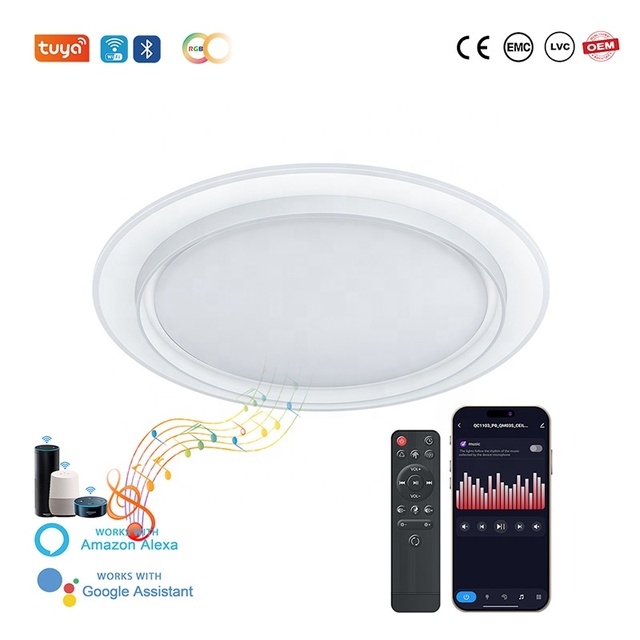 Smart Home WiFi/App & Remote Control Eco-Friendly CRI>80 Dimmable LED Ceiling Lights 42W for Bedroom and Living Room