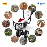 Mini motoculteur à essence 5,5 CV pour désherbage et travail du sol, adapté aux terres arides, rizières, vergers, jardins et serres, avec boîte de vitesses
