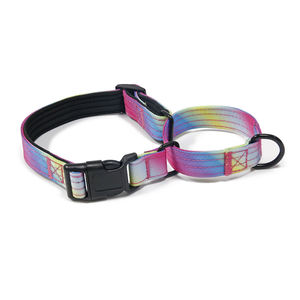 Kerah pelatihan anjing peliharaan 2 in 1 kualitas tinggi supersteed nilon dapat disesuaikan tugas berat menyesuaikan kerah anjing Martingale - Product Image 1