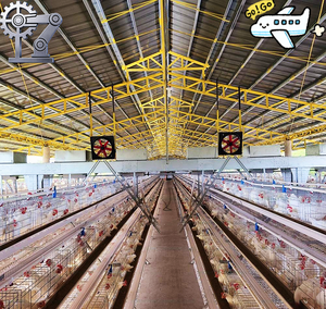 Sistema <span class=keywords><strong>a</strong></span> batteria in acciaio zincato per gabbie per galline ovaiole di tipo <span class=keywords><strong>A</strong></span>, molto richiesto nel mercato africano, per allevamenti avicoli - Product Image 4