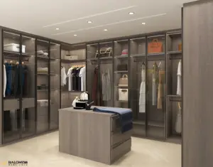 2024 Balom individuelle Garderobe Möbel High-End-Serie Kleiderschrank Glastür offene Garderobe Gehweg im Schrank mit Lichtstreifen