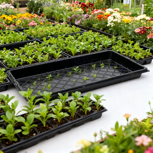 Khay ươm giống thủy canh nhựa PP đen, hình chữ nhật, bền, tái sử dụng, dùng một lần, kích thước 1020 - Product Image 5