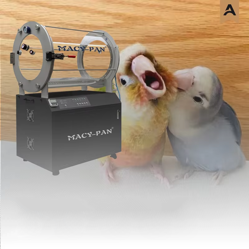 MACY PAN 1 4 ATA Pet