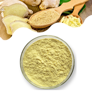 Tự nhiên dinh dưỡng cao giá trị gừng chiết xuất từ rễ bột sức khỏe bột gừng - Product Image 4