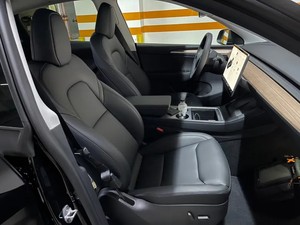 ฝาครอบพนักพิงเบาะคาร์บอนแห้งรุ่น Y Juniper ป้องกันฝุ่น - Product Image 2