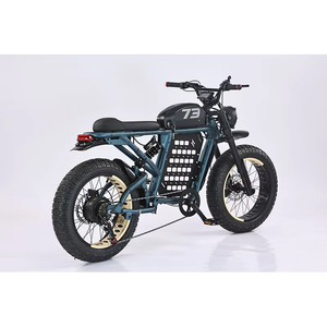 Bicicleta Eléctrica Híbrida de 1000W con Batería de Litio, Motor Trasero de 7 Velocidades, Neumáticos Anchos, Frenos de Disco, Modelo JYOP-RX City - Product Image 5