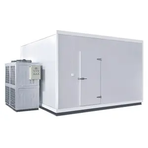 Favorable Price Cold Room Storage, Low Temperature Cold Room Freezer for Vegetables Fruits meat fish