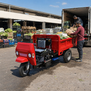Tricycle motorisé à carrosserie ouverte 18HP 22HP 25HP pour capacité de chargement, prix usine, haute qualité - Product Image 1