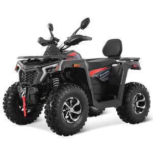 <span class=keywords><strong>Quad</strong></span> à transmission automatique à chaîne <span class=keywords><strong>250cc</strong></span> 2WD à vitesse maximale supérieure LNA pour adultes - Product Image 3