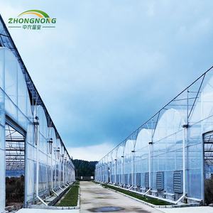 Kit de Estufa Grande de PE com Dupla Camada, Totalmente Automatizada, para Cultivo Tropical em Clima Quente, Estufa Arqueada de Aço Galvanizado - Product Image 6