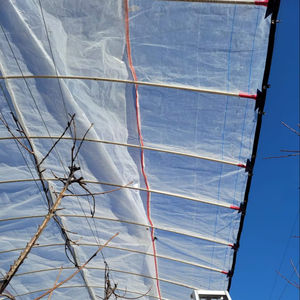 ที่คลุมป้องกันฝนแบบใสมีฟิล์มทอจาก HDPE มี<span class=keywords><strong>หลังคา</strong></span>สำหรับต้นผลไม้สำหรับสวนผลไม้ - Product Image 1