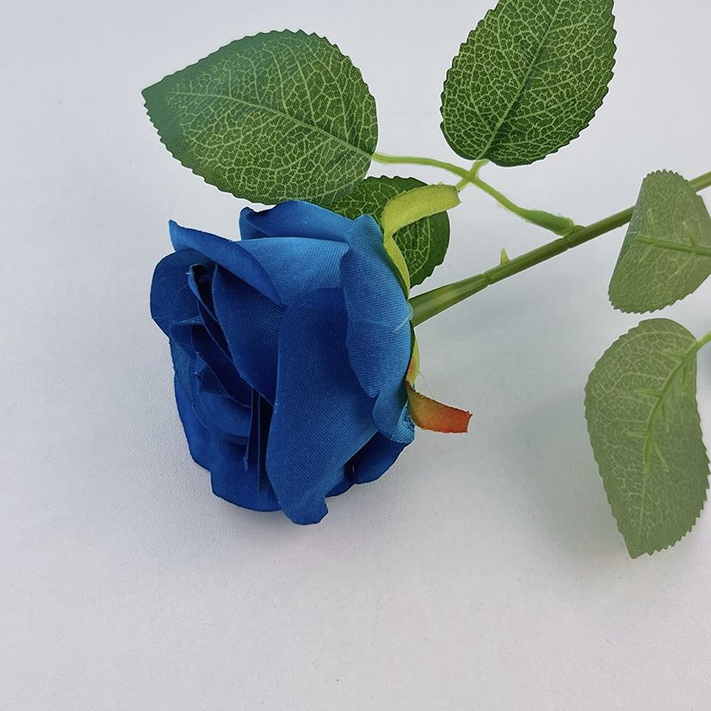 Velvet rose-blue