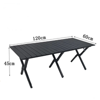 Tables pliantes d'extérieur en acier au carbone, design moderne et épuré, portables pour le camping, les pique-niques et la vente ambulante