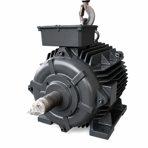 Moteur électrique industriel robuste en fonte avec base de montage pour applications industrielles et alimentation électrique - Product Image 2
