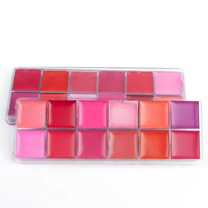 Palet Makeup Profesional 12 Warna Oem, Palet Kosmetik Lip Gloss Profesional Kualitas Tinggi dengan Blush