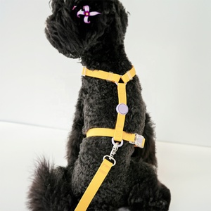Set Tali dan Harness Anjing Mewah Anti Air PVC Desainer Kustom Logo Personal 2023, Tali Anjing Nylon Hands Free - Product Image 2