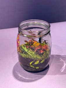 Offre Spéciale enfants Terrarium Kit Animaux de la ferme/Bugs pour filles et garçons - Product Image 4