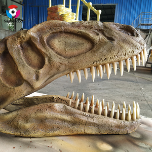 Replika fosil kerangka dinosaurus Museum T rex - Product Image 6