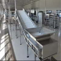 Automatische productielijn bananen schil- en snijmachine voor bananenchips