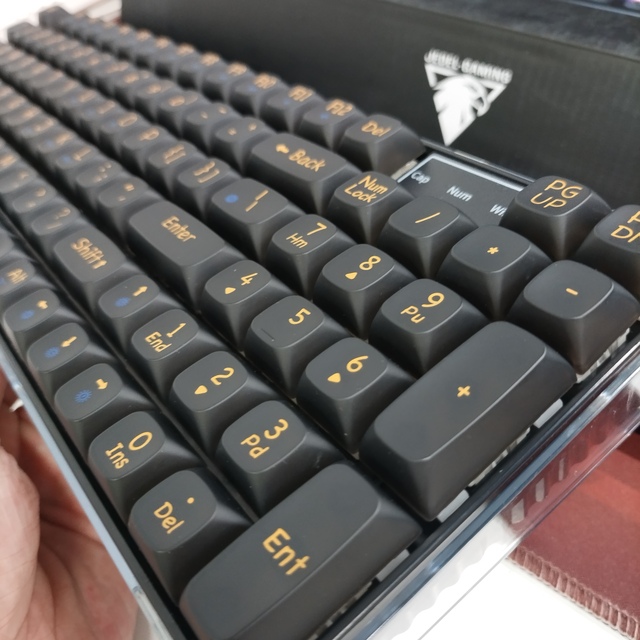 Customization 97 Keys LED Lighting Transparent PBT Keycap Mechanical Gaming Keyboard Wired Keyboard for Laptop Computer Desktop