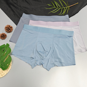 <b>Custom</b> Logo Nylon Spandex Wholesale Mens Briefs & <b>Boxers</b> Hot Sale New Desgin <b>Boxer</b> Breathability Man Underwear Solid Color - Product Image 2