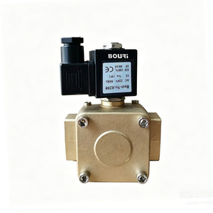 Vanne solénoïde Bouri série 0927 AC220V DC24V, corps en laiton, connexion filetée pour le contrôle des fluides industriels - Product Image 1