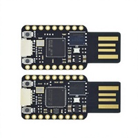 RP2040-USB RP2350-USB Papan Pengembangan Mini 4MB/16MB Flash Dual-Core RP2350A RP2040 520KB SRAM untuk Raspberry Pi PICO2